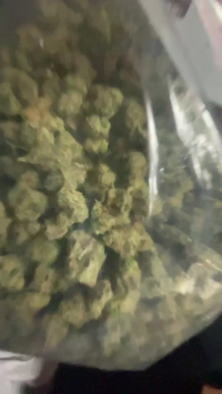 75$ zips (random 🔥strain BIG NUGS